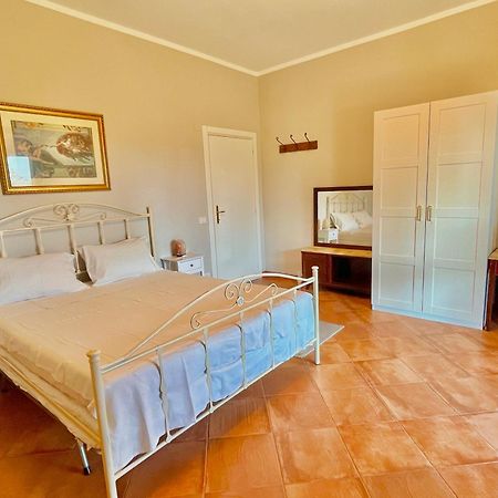 B&B Terre Toscane Ciggiano Exterior photo